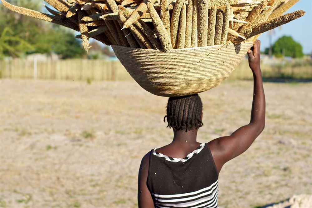 Ongula Village Homestead Lodge Ondangwa Bagian luar foto