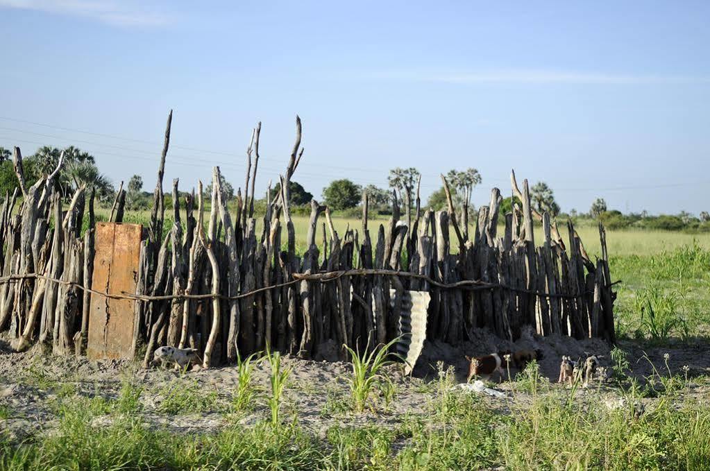 Ongula Village Homestead Lodge Ondangwa Bagian luar foto